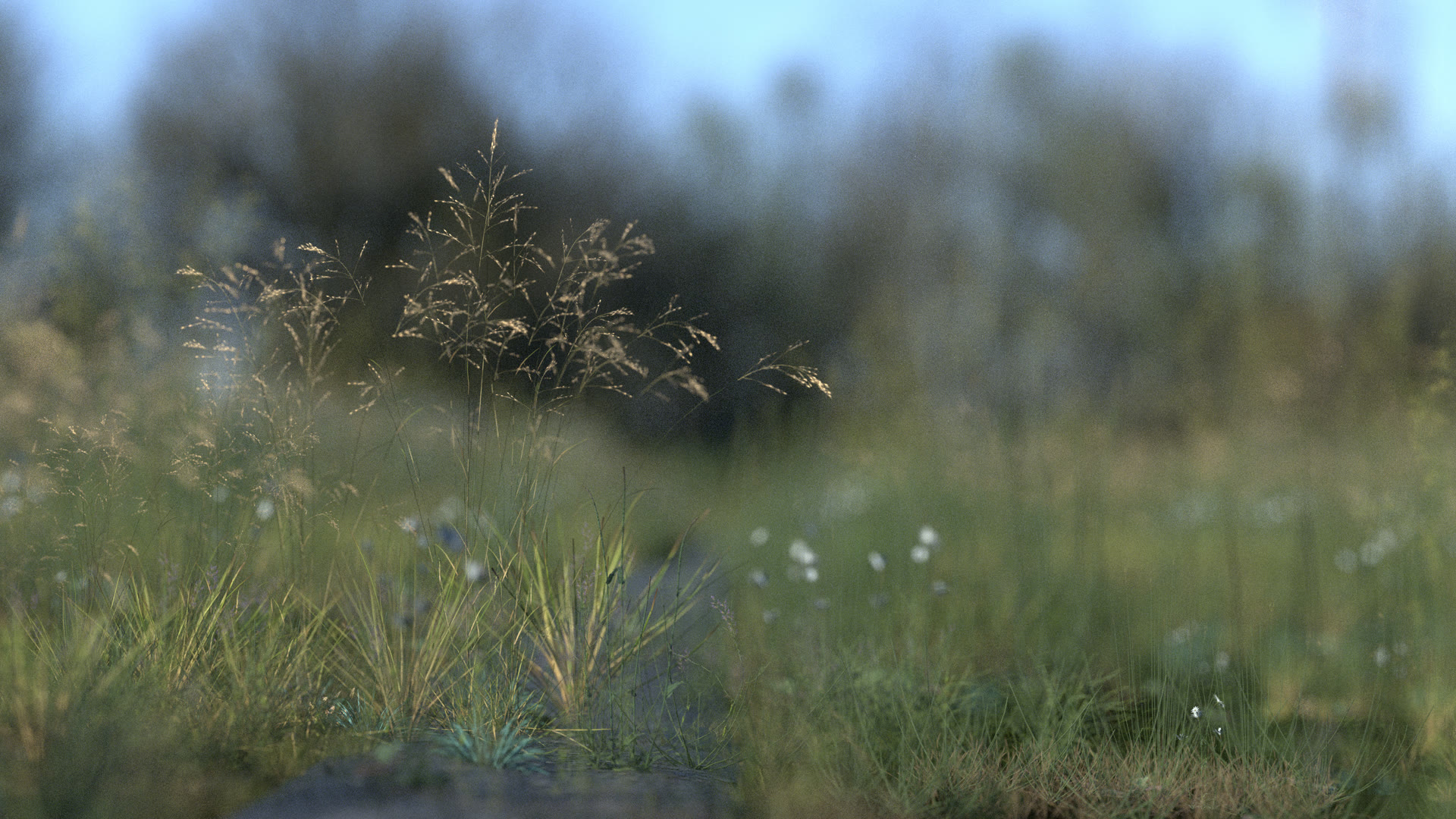 Landscape scene, view 3